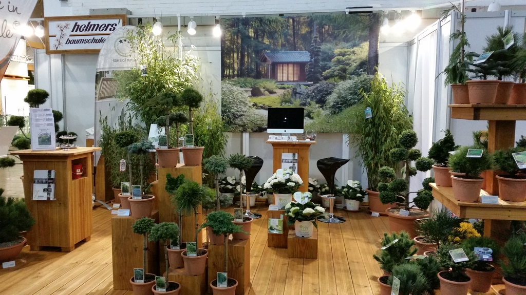 IPM 2016